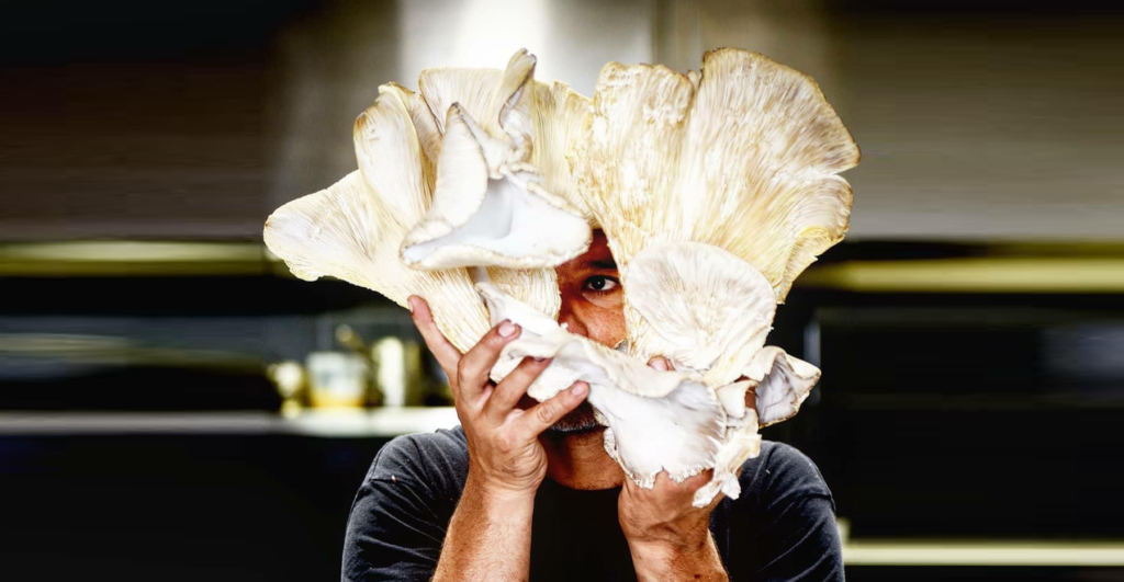A Morning at Nãm. The Urban Mushroom Farm